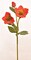 16 Inch Artificial Red Helleborus Stem for Wreaths and Floral Arrangements
